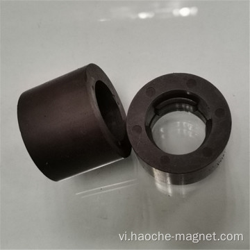 Bơm dầu phun nhựa Ferrite Rotor Magnet